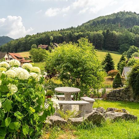 Apartament Haus 23 Ettenheim Zewnętrze zdjęcie
